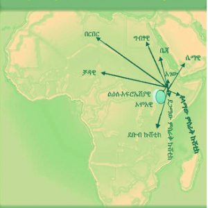 ቋንቋና ነገድ በኢትዮጵያ