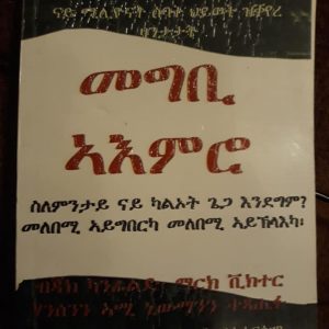 መግቢ ኣእምሮ