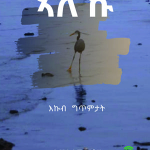 ኣለኹ