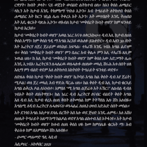 Alternative view of መቅበረት ክብት ወዘን (Meqberet Kibt Wezen)