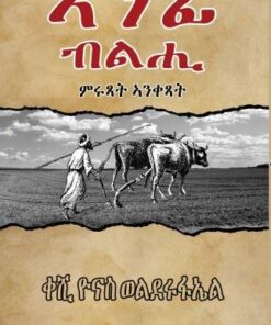 ኣንፊ ብልሒ