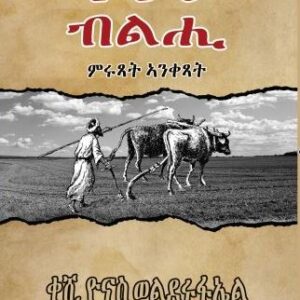 ኣንፊ ብልሒ