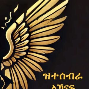 ዝተሰብራ ኣኽናፍ