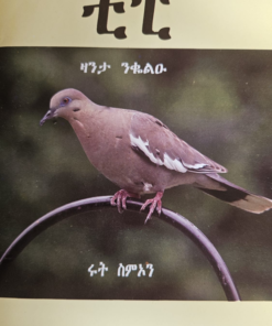ቺፒ