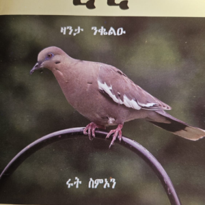 ቺፒ